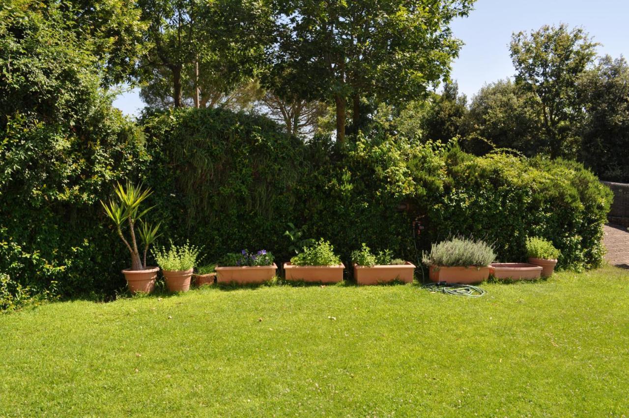 Casale Vicino Al Golf Nazionale Bed & Breakfast Monterosi Exterior foto