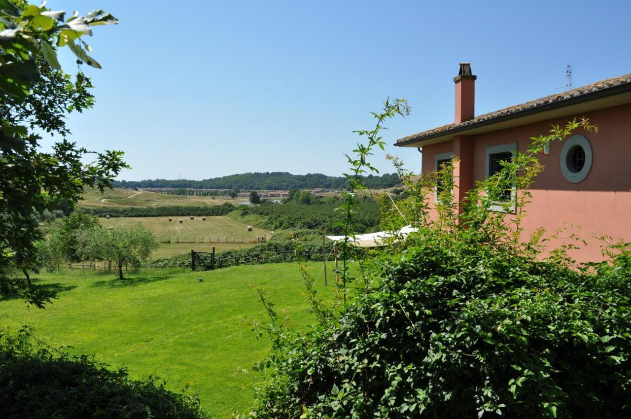 Casale Vicino Al Golf Nazionale Bed & Breakfast Monterosi Exterior foto
